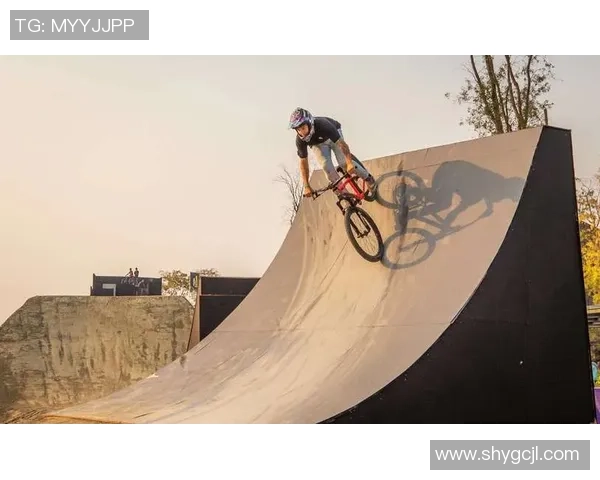 成都极限运动队实力分析与表现评估的全面研究报告