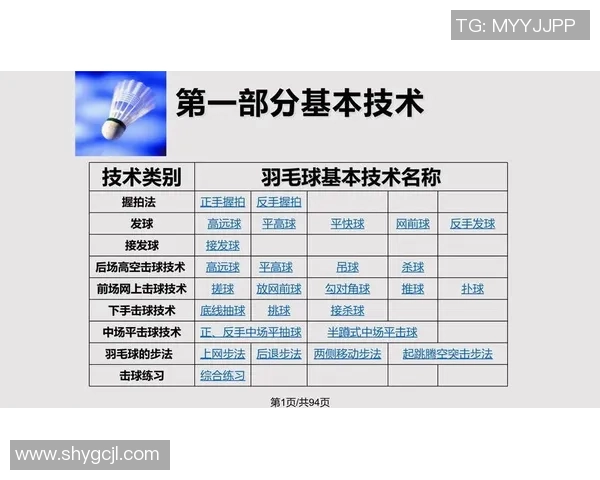 广州羽毛球队的默契配合与战术分析探讨